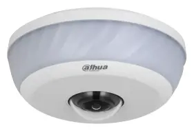 Dahua IPC-EB81242-PD 9 MP WizMind Panoramik Kamera