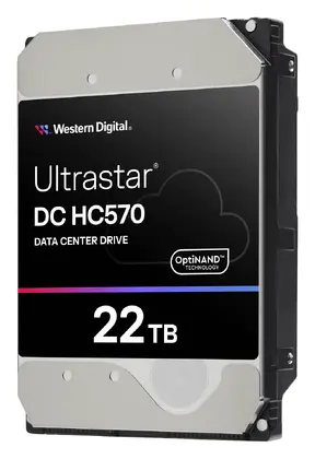 WD Ultrastar DC HC570 22TB 3.5" SATA Kurumsal Disk (0F48154)