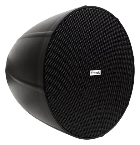 Westa WS-97B 50W IP66 Siyah Sarkıt Hoparlör — görsel 3